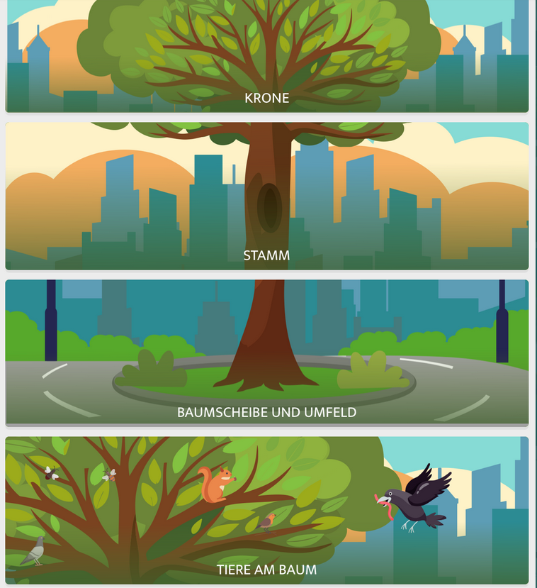 Die Grafik zeigt einen stilisierten Baum in der Stadt, aufgeteilt in vier Bereiche: oben die grüne Krone, darunter der Stamm mit Baumhöhle, dann die Baumscheibe am Boden mit Umgebung und unten Tiere am Baum wie Vögel, ein Eichhörnchen und Insekten.