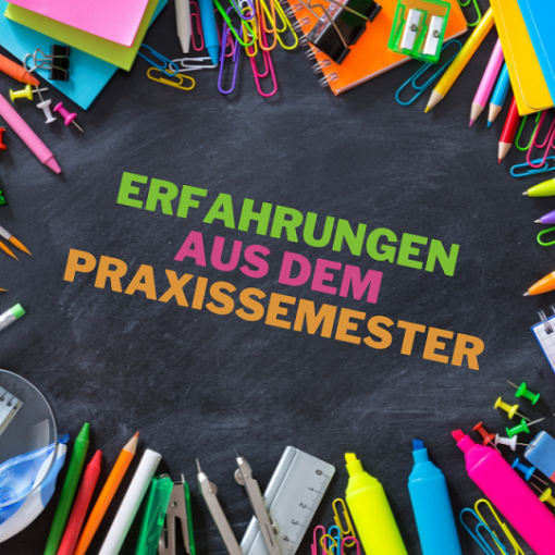 Erfahrungen aus dem Praxissemester