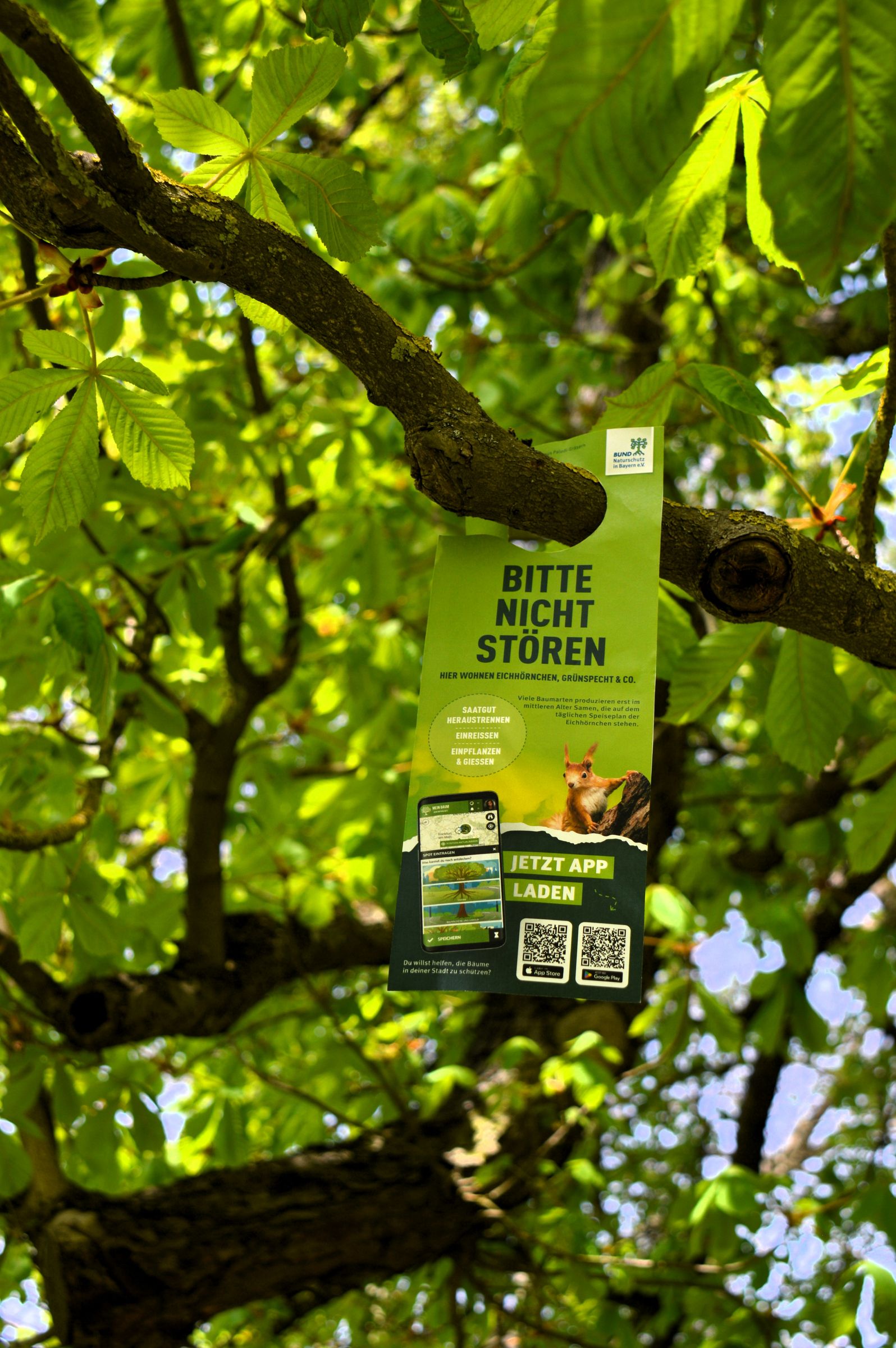 Mein Baum: Stadtbäume melden und schützen!