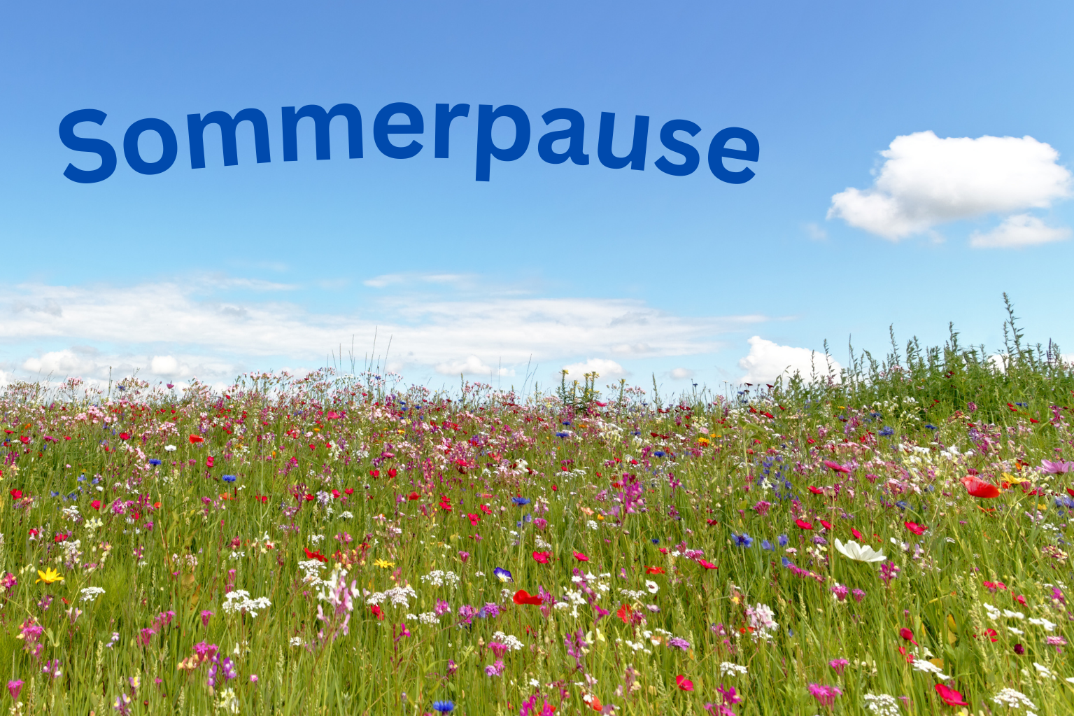 Sommerpause 2024