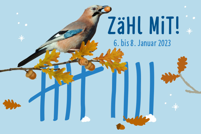 Stunde der Wintervögel 2023