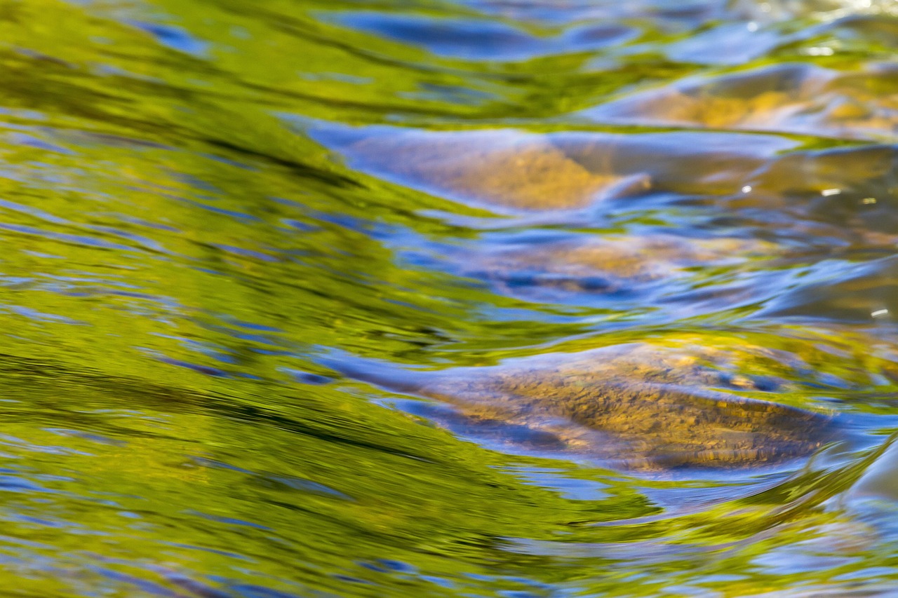 Steine im Fluss